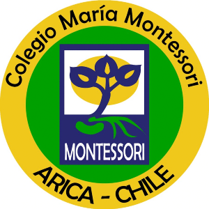 colegio maria montessori arica